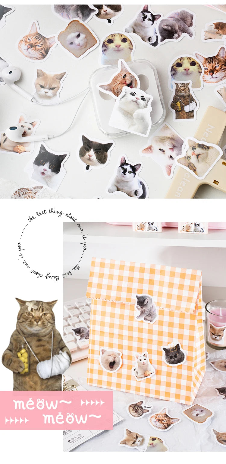 46pcs/Bag,Cat Stickers,Be for Suitcase Skateboard Luggage Laptop Phone Diy Sticke Decoration Stationery School Supplies Toys