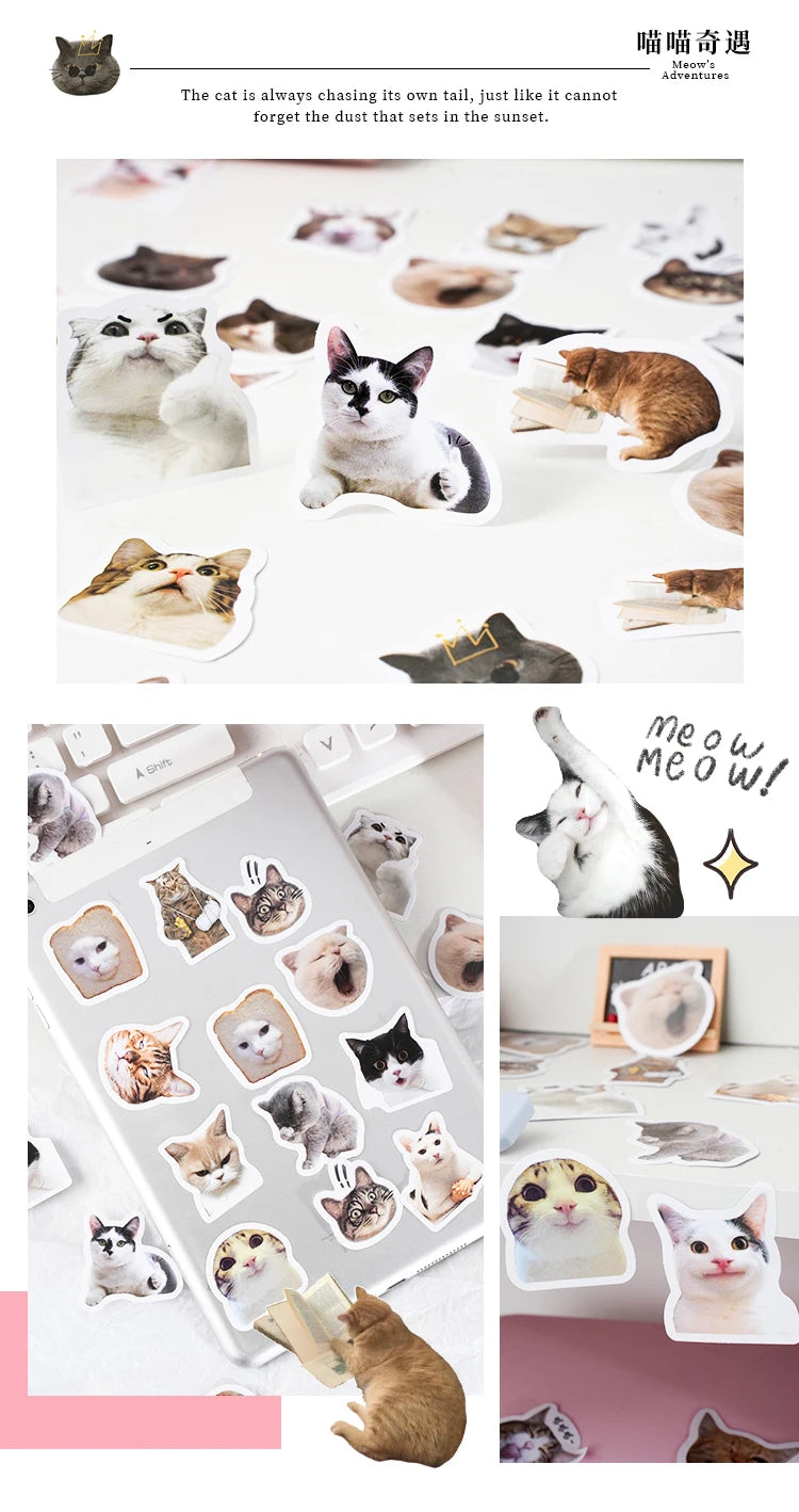 46pcs/Bag,Cat Stickers,Be for Suitcase Skateboard Luggage Laptop Phone Diy Sticke Decoration Stationery School Supplies Toys