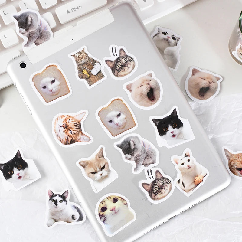 46pcs/Bag,Cat Stickers,Be for Suitcase Skateboard Luggage Laptop Phone Diy Sticke Decoration Stationery School Supplies Toys