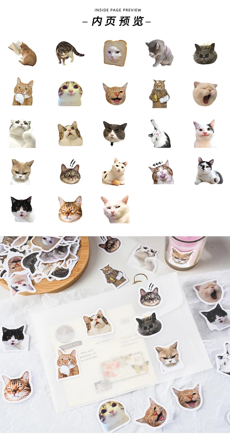 46pcs/Bag,Cat Stickers,Be for Suitcase Skateboard Luggage Laptop Phone Diy Sticke Decoration Stationery School Supplies Toys