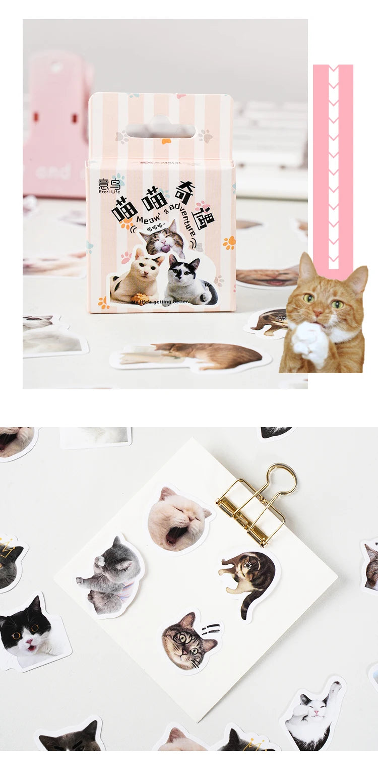 46pcs/Bag,Cat Stickers,Be for Suitcase Skateboard Luggage Laptop Phone Diy Sticke Decoration Stationery School Supplies Toys