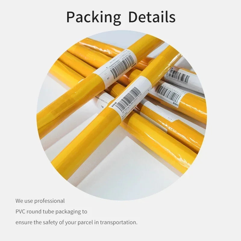 Funny Animals Rabbit Dog Bear Cat Lion Skateboard Posters Prints Crocodile Wall Art Canvas Nursery Pictures for Kids Room Decor